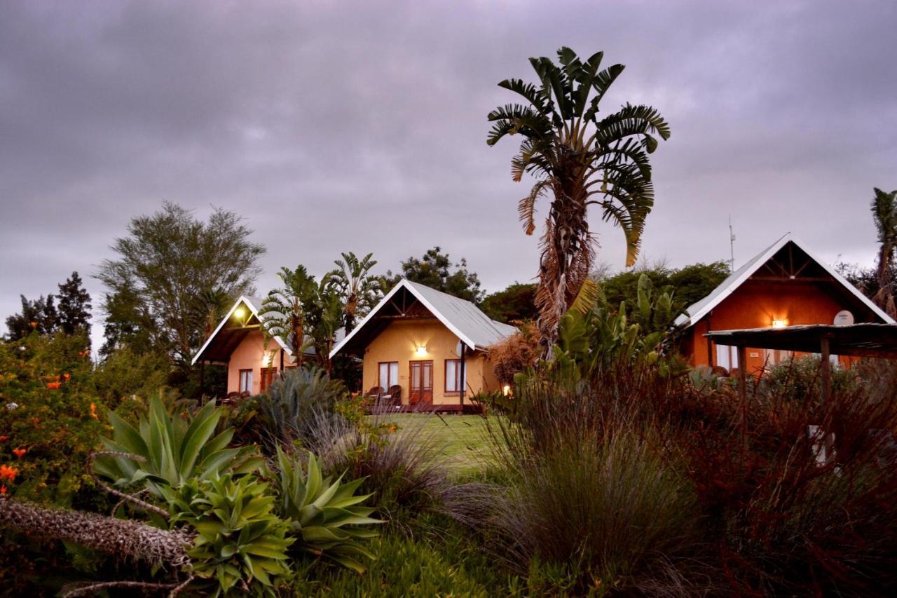 Vakantieboerderij Dung Beetle Guest Farm *
