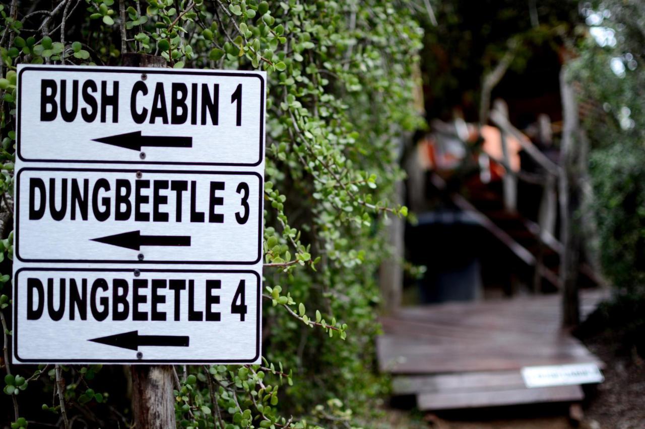 Dung Beetle Guest Farm * Addo