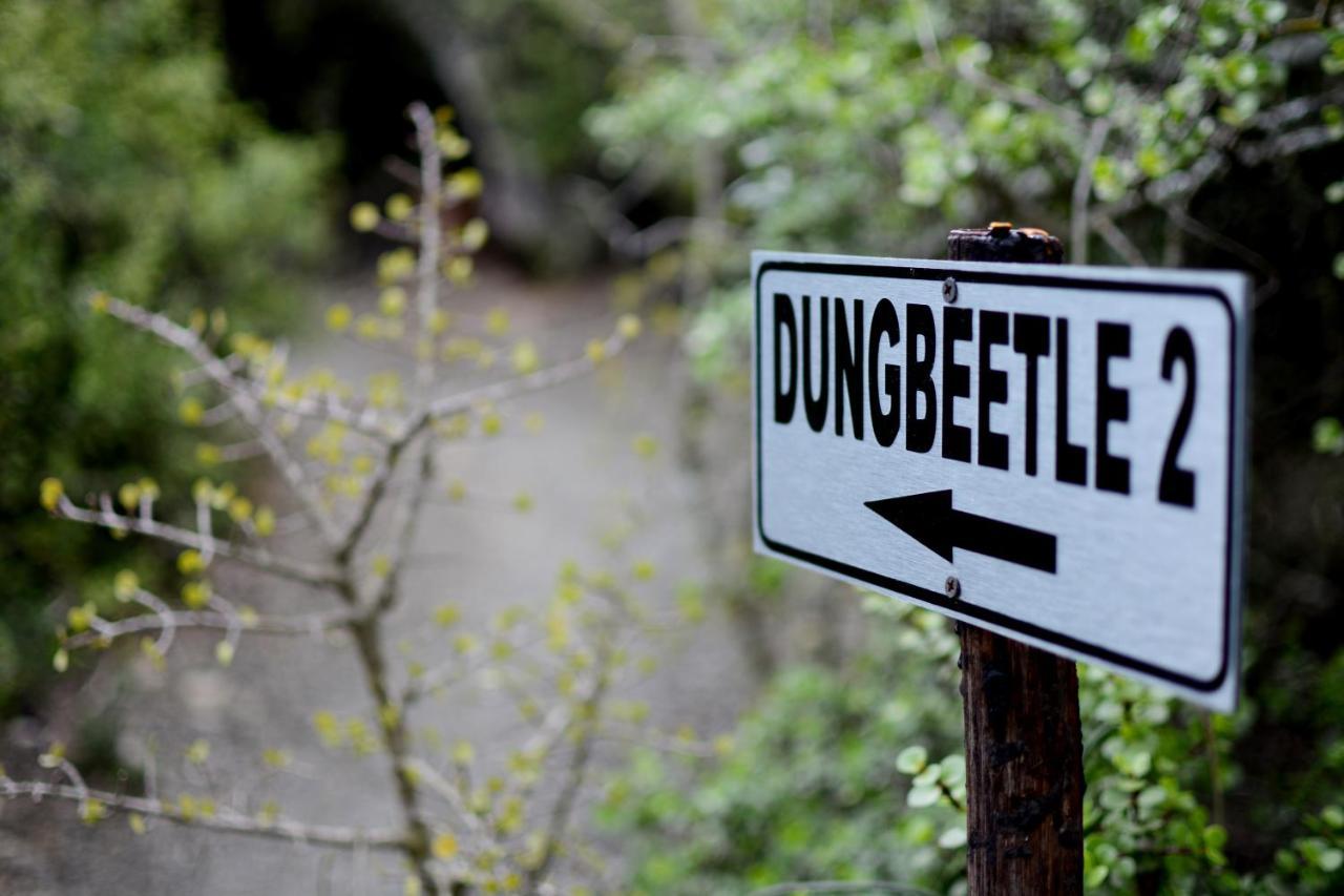Dung Beetle Guest Farm Vakantieboerderij *